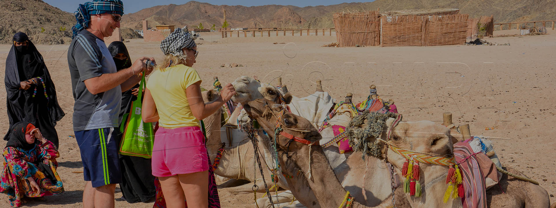 Сафари на квадроциклах: поездка на полдня в парк Сахара